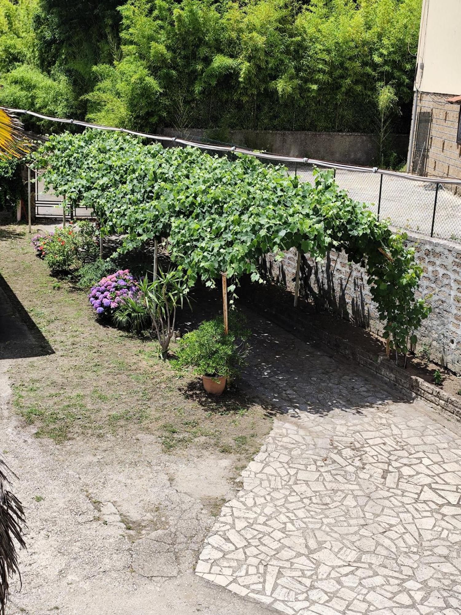 Ferienwohnung La Casina Di Karol Ronciglione  Exterior foto